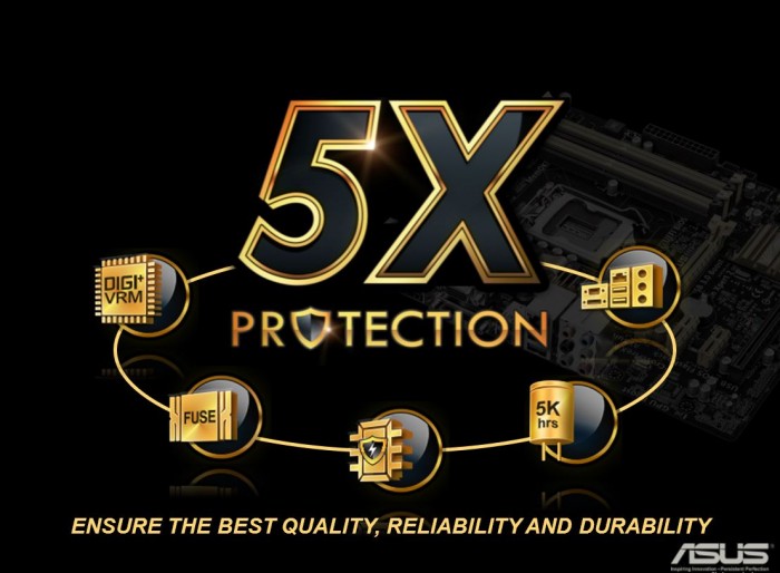 5xprotection