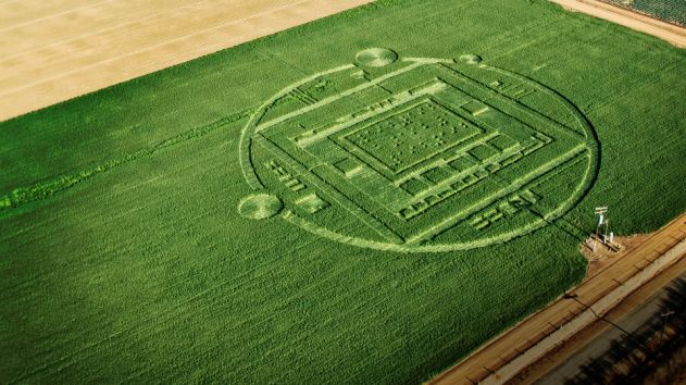 tegra_k1_crop_circle-631x354