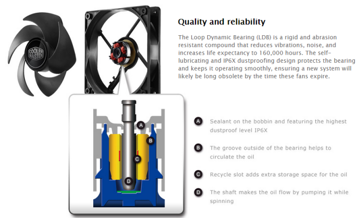 Loop Dynami Bearings1