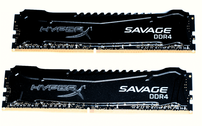 Kingston_Savage_3000_2