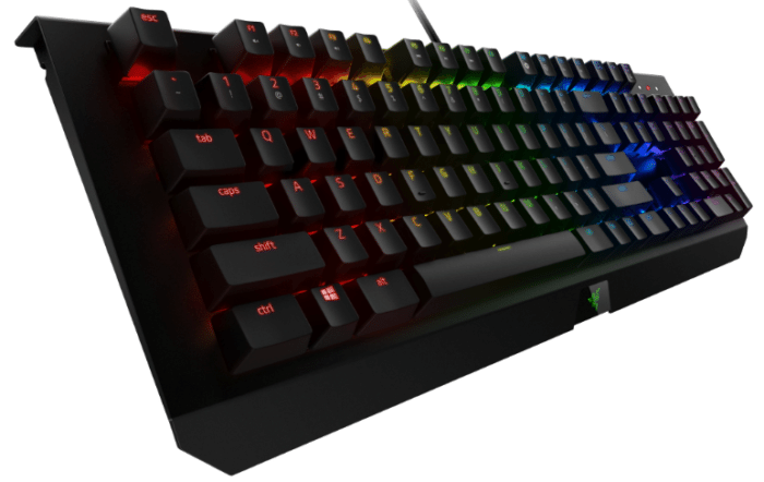 Razer_Blackwidow_X_Chroma_5